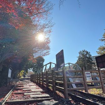 蹴上まで来た！
ここは何度か来てるけど、
上へ登って行くのは初めて🐾
ここまで来ると観光客がいっぱい。

そして山屋は目立ちますw