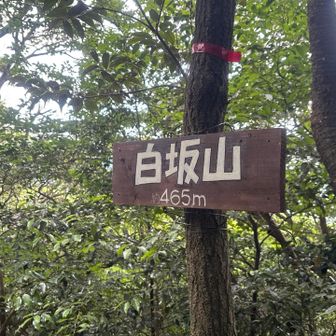 白坂山