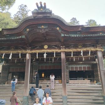 ここが金刀比羅宮