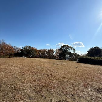 山頂は広いですが眺望はありません🔭