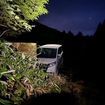 湿気が多いのね
ノアの屋根は真っ白になってる