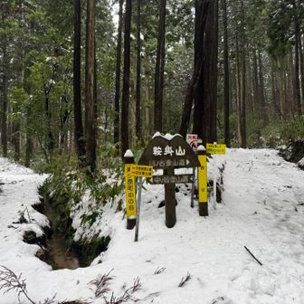 今日はメインルートで登ります