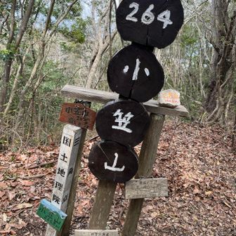 戻って小笠山山頂に来ました
沢山の表示プレートあり
なんでかな？