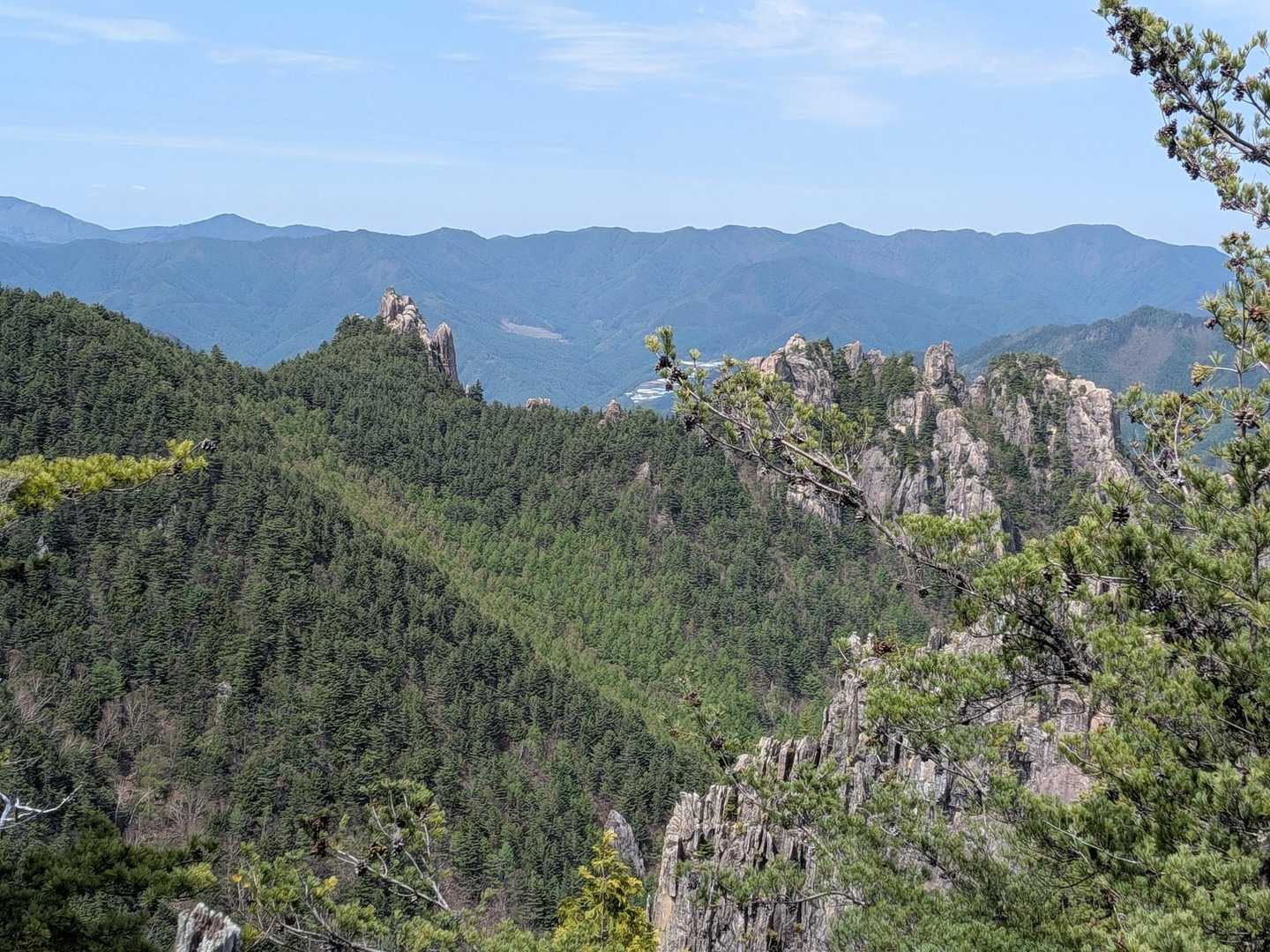 登った時には気が付かなった絶景💛
このコース視界が開けるところ少ないから貴重！