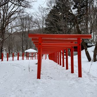 昨シーズンは鳥居⛩️の上を跨げる位の積雪だったけど雪が少なく普通に歩けました😅