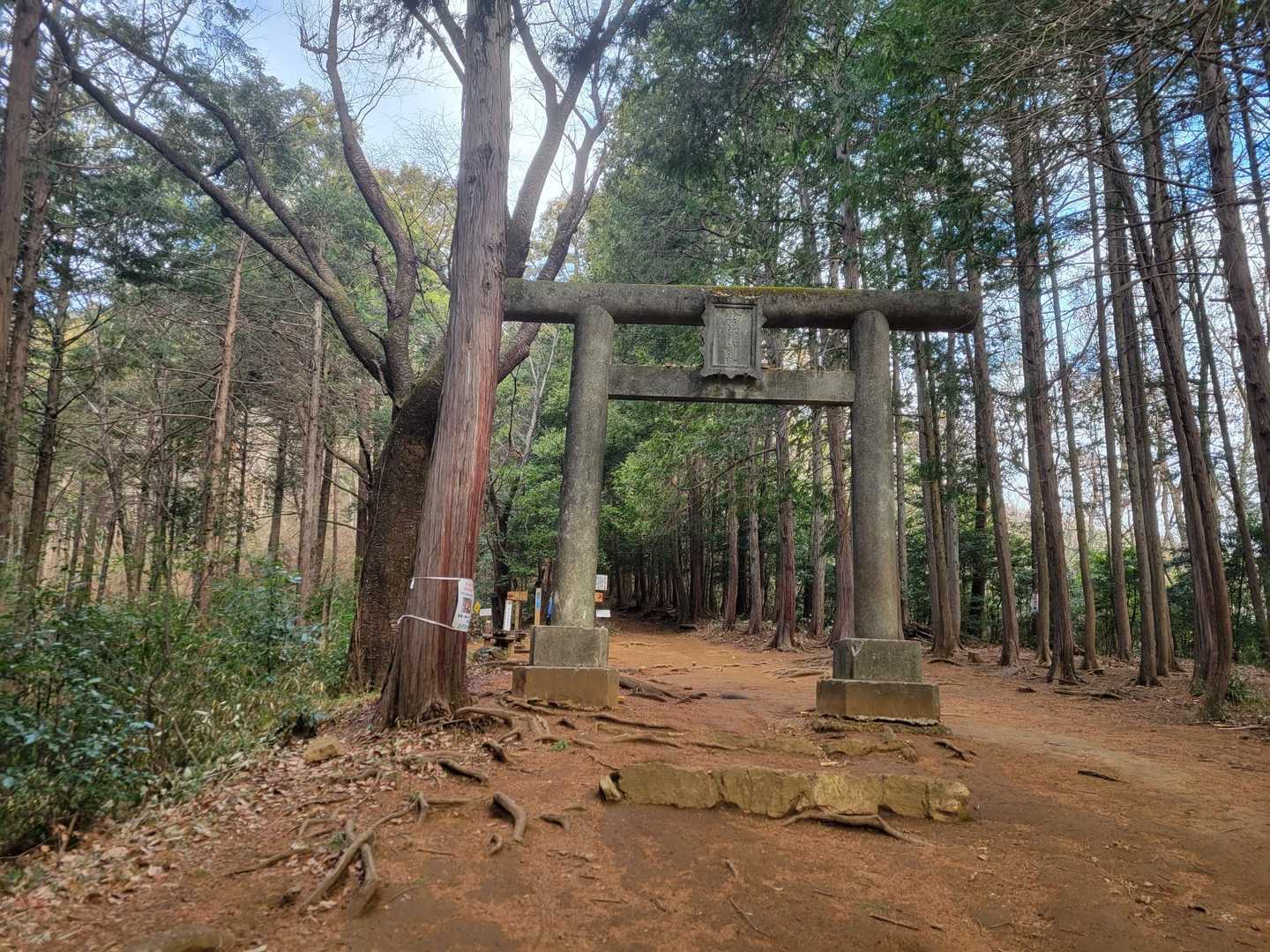 鳥居を抜けて、男坂、女坂の分岐があります。