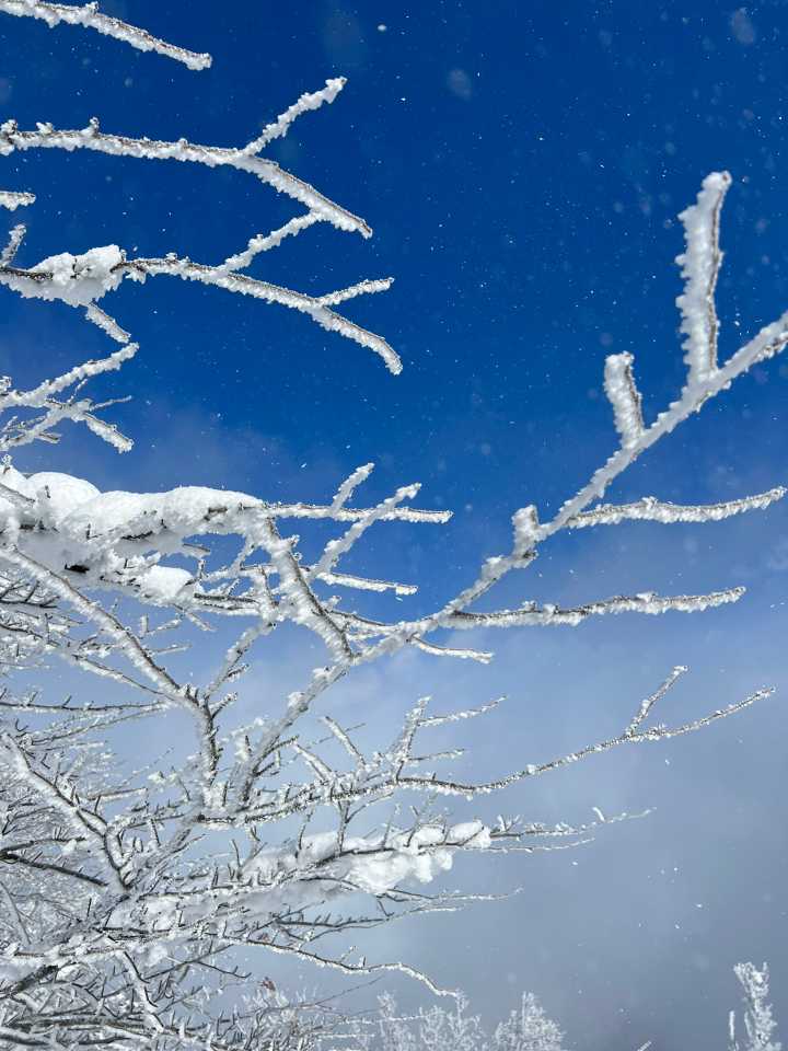 青空がほんの一瞬❄️❄️❄️
