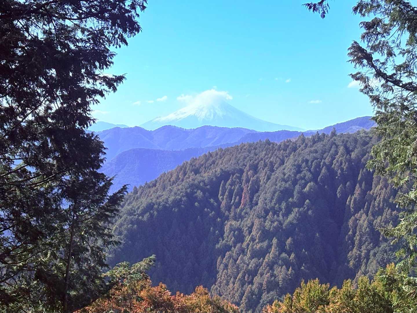 長岳-高明山-馬頭刈山 往復コースの写真