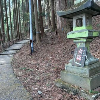 帰宅して確認したら、宝光社の階段は全部で270段あるのだそう。女性や足に自信のない方は女坂を歩きましょう。