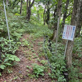 前倉コース分岐