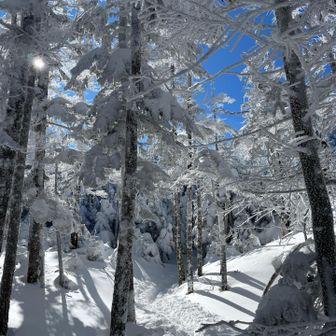 七ツ池までの道。北横岳への道に比べて踏み跡は少なく、少し沈みます。
