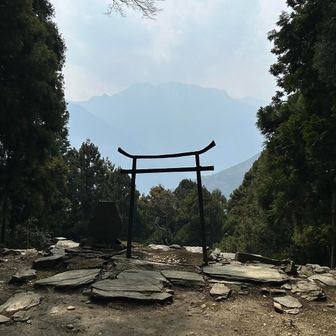 遠のいていく😳