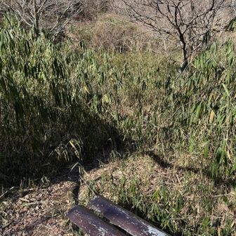 ベンチに戻って来ました