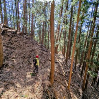 高石峠に戻って根小屋方面に下っていきます⤵️
