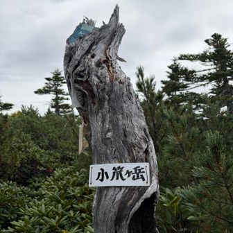 小笊ヶ岳到着