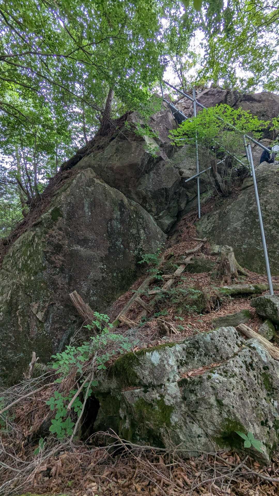 大岩。こちらもしっかりした階段あります