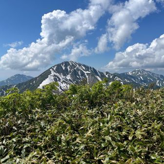 最後に越後三山撮って帰りましょ