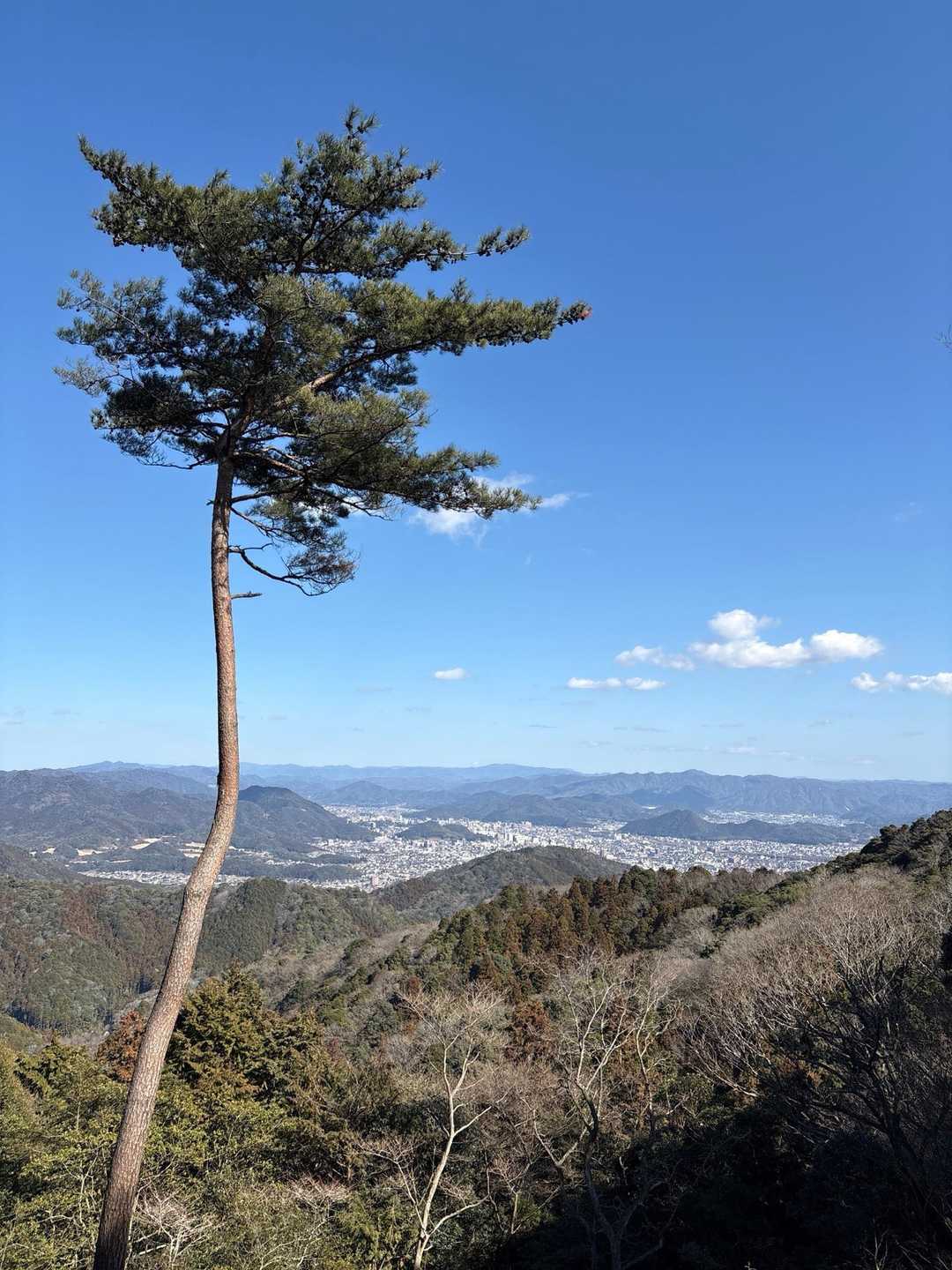 榾木山 往復コースの写真