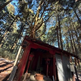 不気味ささえ感じる、静かで厳かな経塚