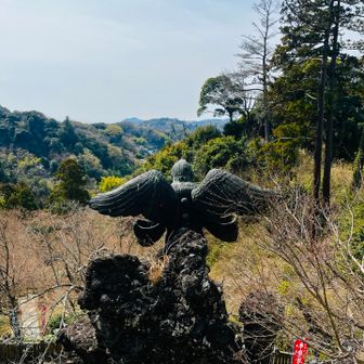 天狗を後ろから👺