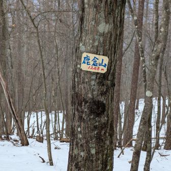 鹿倉山山頂に到着