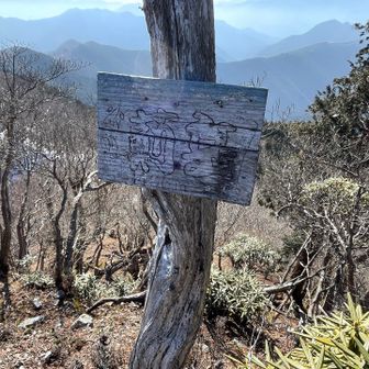 薊岳…プレートの字薄い😑