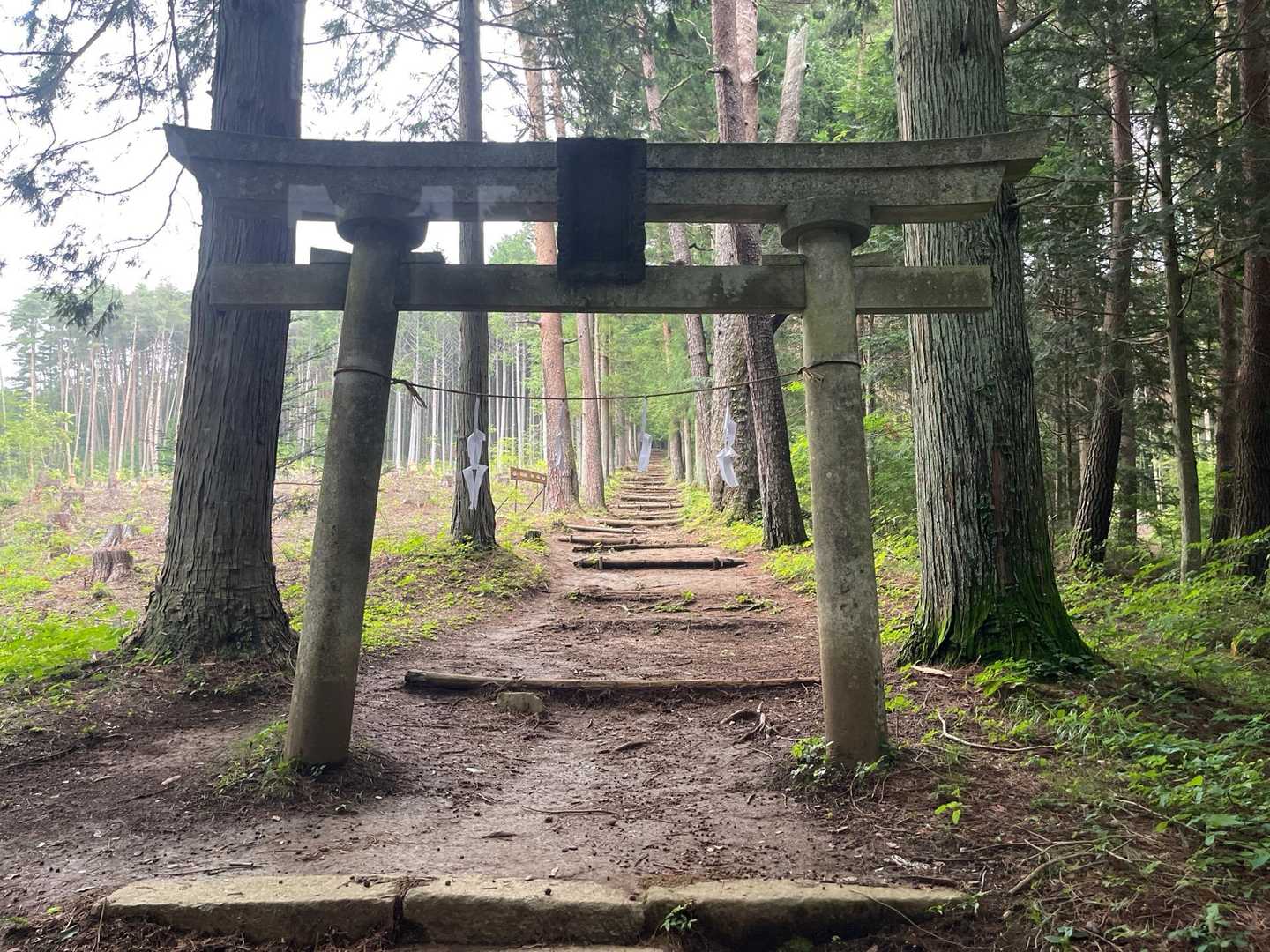 高鳥谷神社参道入口-高鳥谷神社-高烏谷のマツハダ-つが平- 周回コースの写真