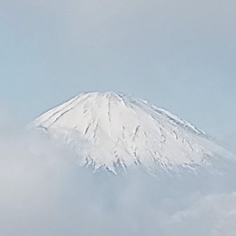 皆さま反応し、📸チャンス🎶🤗