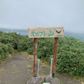 虫もいなくて快適だったのですが。