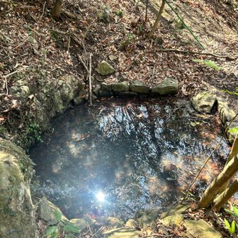 飲めそうにない
浴びるのも無理
寿命を全うします