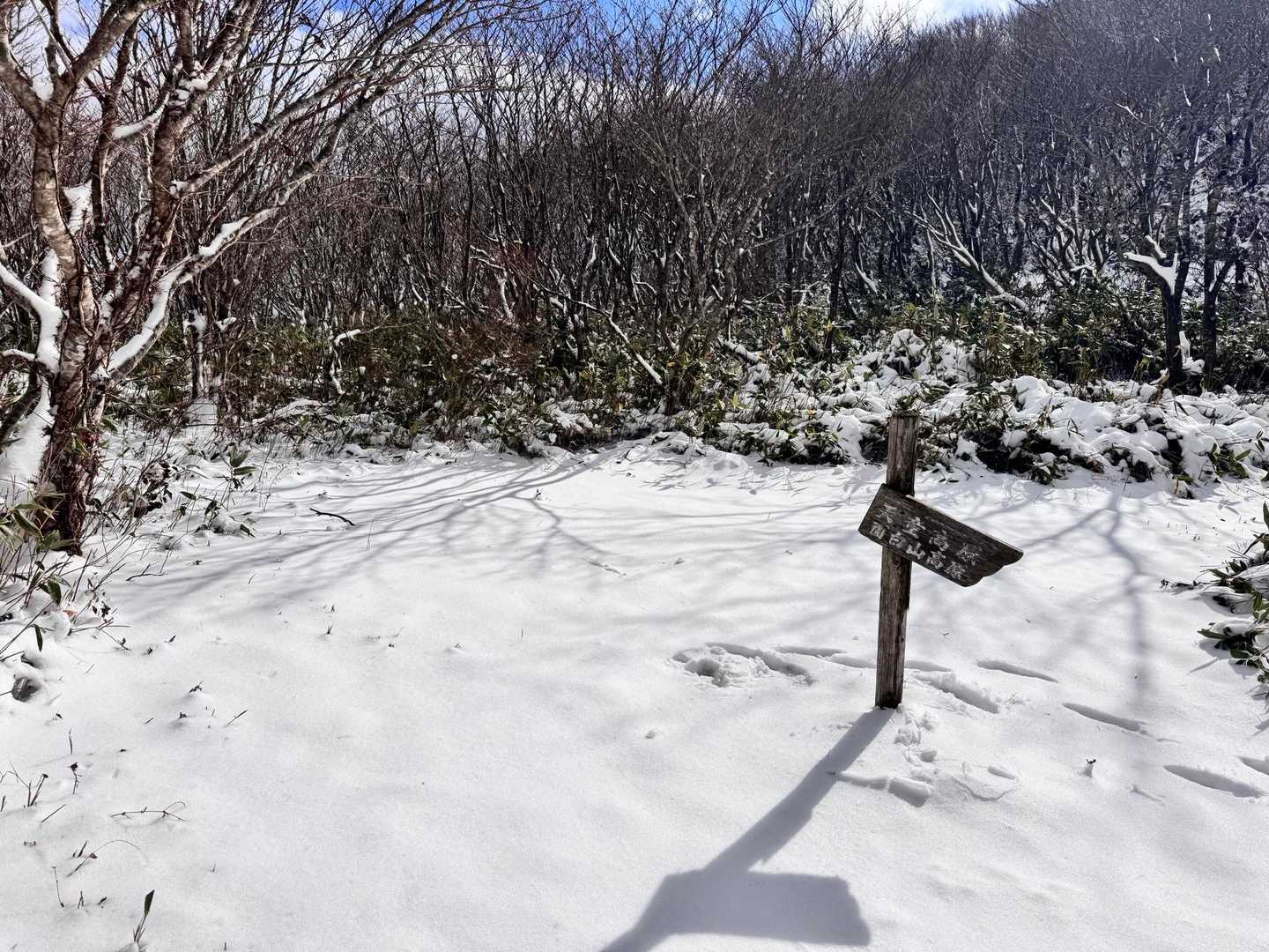 分岐とーちゃく。
おや…