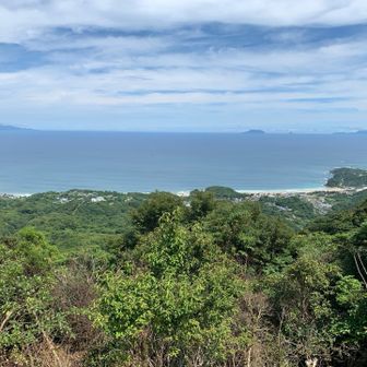 山頂から白浜海岸が見える