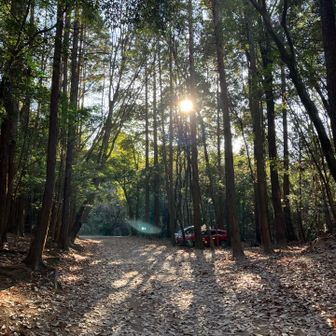 山路🅿️到着！