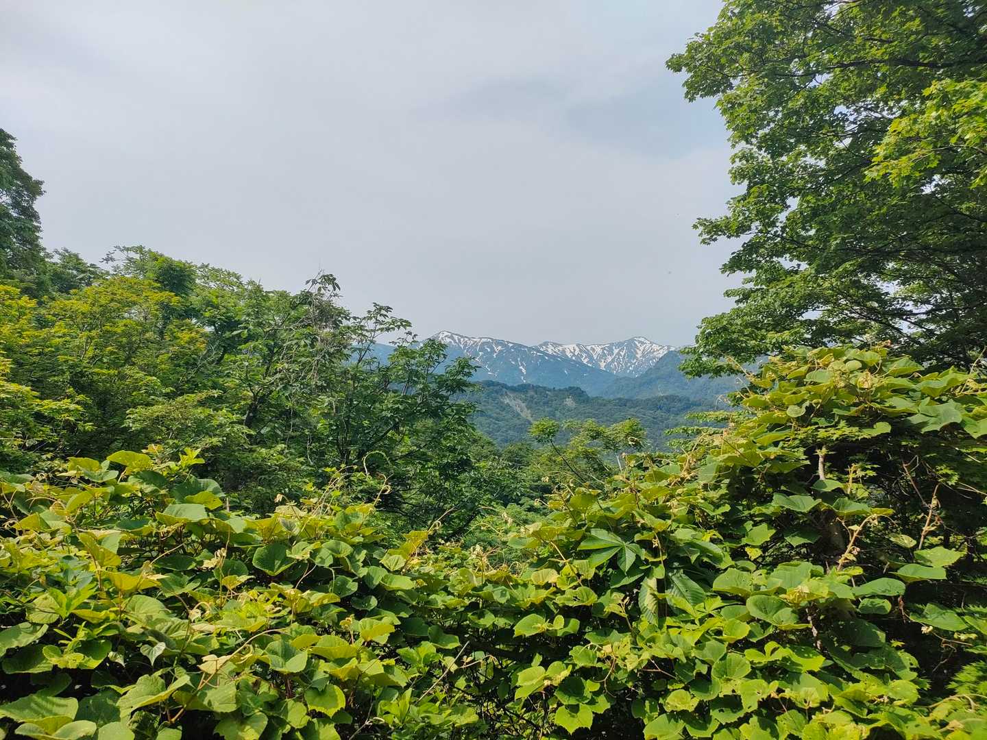 あの雪山は?初雪山?犬ヶ岳?
