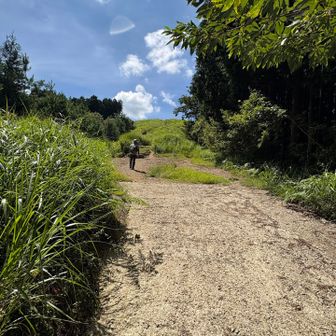 お手洗いをお借りして、いよいよ山頂へ⛰️🌾日傘が大活躍です☂️