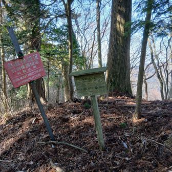 でも広くて気持ちのよい頂上です