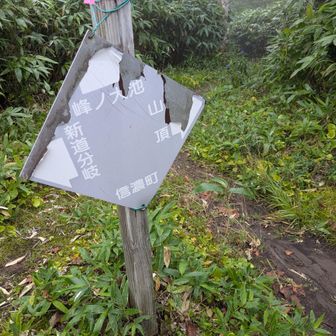 峰の大池分岐点
今日は行きません!
