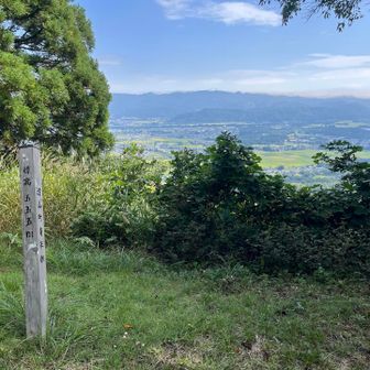 555m。街を一望するのにちょうどいいサイズ感。