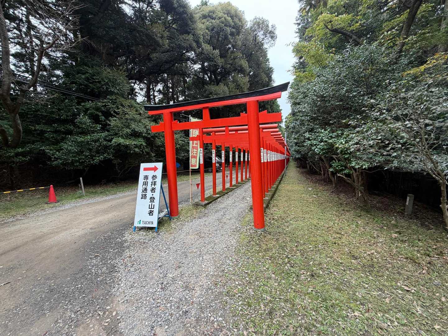 いってたけどな
