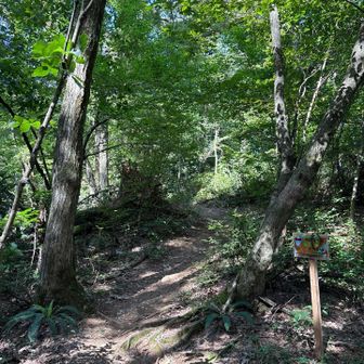 半田半分コースへ
あと忘れちゃいけないサクラタデ！
