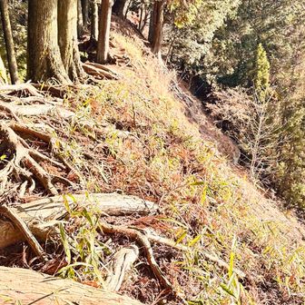 １つ間違ったら落っこちそうなとこばかり