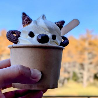 カモシカソフト🍦
美味しかったんだけど、緊張でもう味なんてわからない🤣