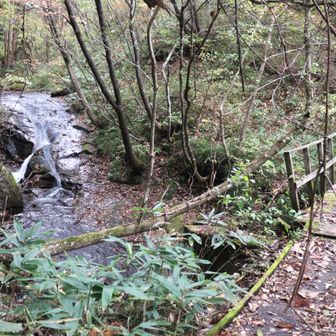 もうすぐ登山口