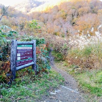 岩場は気をつけながら、
必死で降り、写真は撮らず
登山口着😄
岩場や根っこの滑りやすい道や急登
今まではスリルを楽しめたのですが…
今回は恐怖心があり😆😧
だんだん年を感じてきました。
ガイドさんにフォローして頂きながら無事に下山できほっとしました😄
　山を選びながらもう少し頑張りたいな🤗…と思う一日でした👍