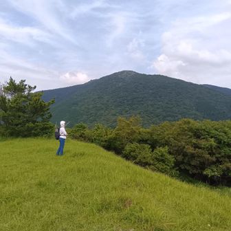 鷹取山。