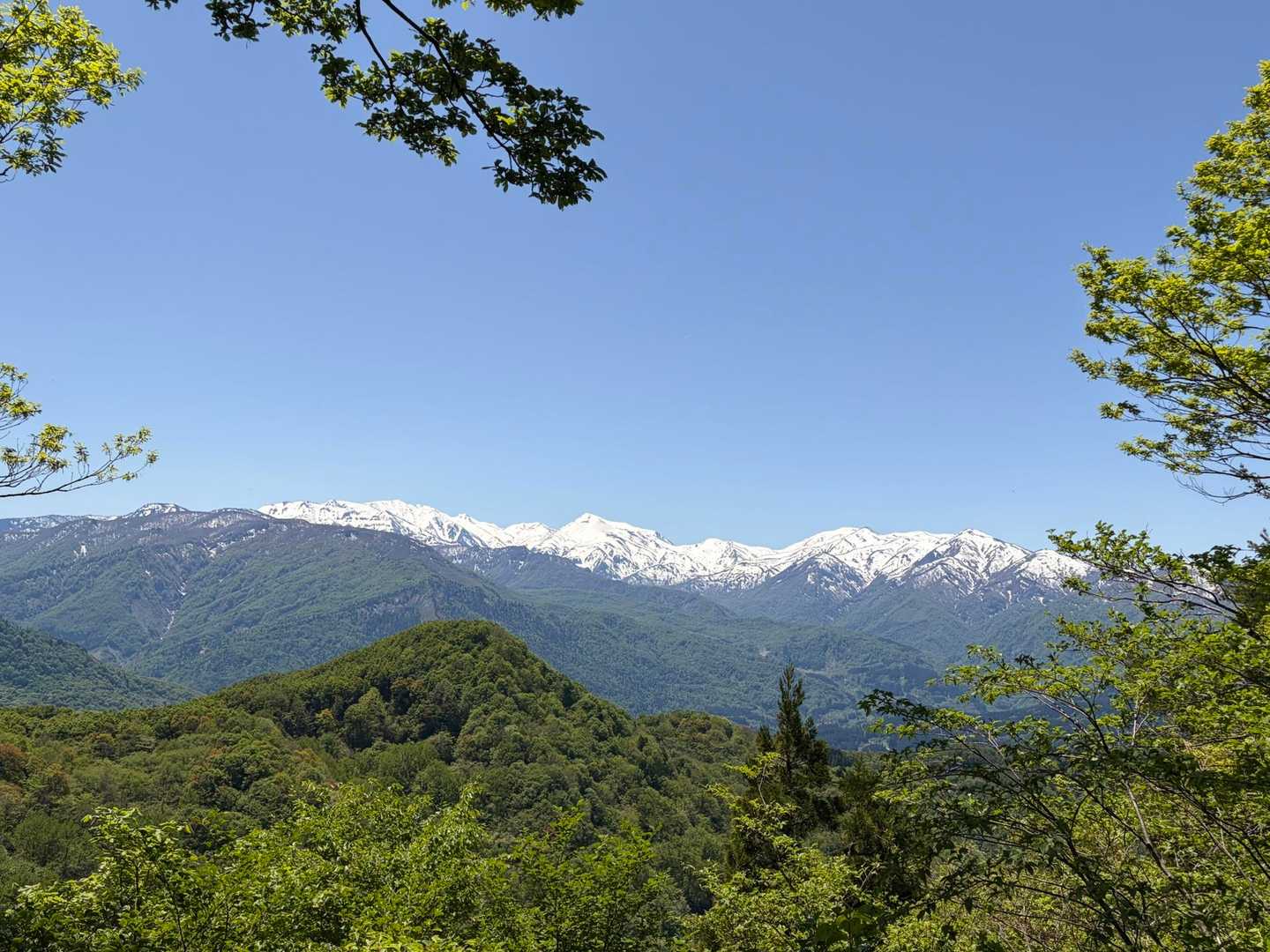 戸倉山 往復コースの写真