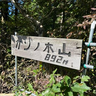 カンノ木山の山頂🙌
駐車場でお会いした方と再会し、
途中までご一緒しました🙏