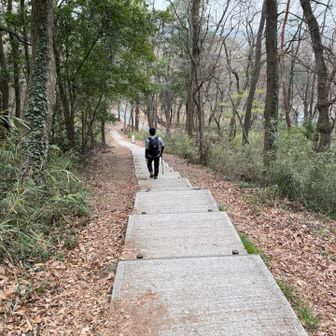 往路と違う階段で降ります。