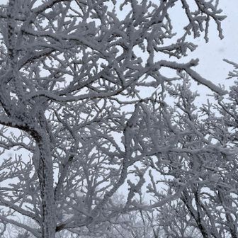 わあお⛄️⛄️