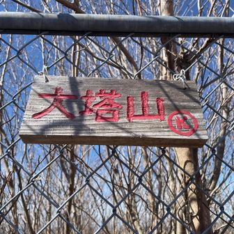 着いた٩(ˊᗜˋ*)و